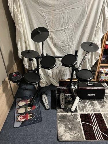 Alesis drum module - drum,